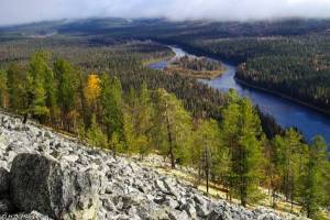 Девственные леса Коми Печоро-Илычский заповедник